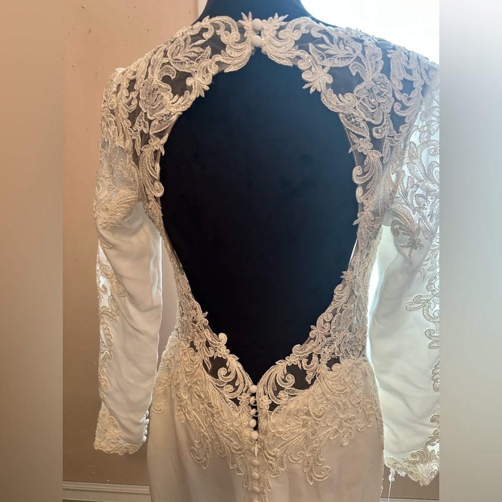 Pronovias Kaya Wedding Dress - Picture 8 of 12